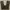 baggy cargo pants dark green  photo 2