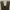 Baggy Cargo Pants Dark Green 