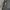 BIG POCKET SPY photo 3