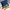 [ NETT ] Para Detektif Mungil photo 7