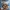 [ NETT ] Playstation 4 / CD PS4 Just Cause 3