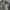 Casual Y2K Shoulder bag Wanita gray photo 2