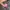 Sophie Martin Vintage Y2K Tote bag Wanita black photo 5