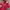 Vintage Y2K Shoulder bag Wanita red photo 3