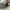 Nike Air Force 1 photo 6