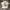 Fleeting Joys x WEAREALLANIMALS - Handmade Cover photo 2