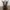 Cowboy boots photo 3
