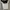 nudethelabel isla tank top eyelet coquette photo 1
