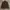 DETROIT CASUAL LEATHER JACKET | WORK JACKET | KERAH DAUN photo 1