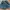 jeans pendek photo 1