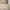 BNIB NEW Little Dimple Water Dispenser 1,7L HWD-817 - Dispen photo 3