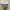 BNIB NEW Little Dimple Water Dispenser 1,7L HWD-817 - Dispen photo 1