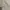 white trousers size M. very good photo 2