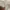 white trousers size M. very good photo 3