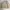 Vintage Casual Bomber jacket Pria cream photo 7