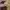 Hoodie Timberland Tencel X Refibra
  photo 6