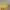 BOHOPANNA TOP Kuning photo 2