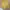BOHOPANNA TOP Kuning photo 1