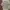 Japanese brand Vintage Casual Casual shirt Pria tan brown photo 3