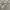 GU Long Sleeve Shirt Pattern Mix Color  photo 5