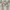 GU Long Sleeve Shirt Pattern Mix Color  photo 6