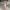 GU Long Sleeve Shirt Pattern Mix Color  photo 4