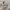 GU Long Sleeve Shirt Pattern Mix Color  photo 2