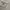 GU Long Sleeve Shirt Pattern Mix Color  photo 7
