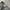 GLW Grey Washed Baggy Jeans photo 4