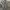 GLW Grey Washed Baggy Jeans photo 2