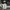 Dickies Double Knee Cellpocket Work Pants photo 2