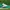 Reebok CL x 24 Kilates (rare) photo 3