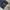 Dickies Genuine Double Knee Work Pants photo 5