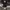 Dickies Genuine Black Cellpocket  photo 1