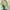 cardigan rajut crop oversized photo 2