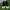Adidas Nizza HI RF  photo 2