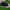Adidas Nizza HI RF  photo 1