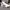Adidas Entrap Mid  photo 1