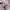 NIKE AIR MAX PLUS TN photo 4