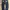Evisu jeans photo 1