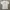 TSHIRT XLARGE photo 1