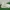 Adidas Nizza Cream photo 1