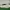 Adidas 350 photo 4