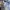 New Balance Fresh Foam X More Trail V3 Full White photo 6