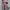 Santa Barbara Womens Parka Large photo 4