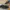 The Nort Face Speed Boa System Black photo 1