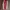 Vans authentic Red chili  photo 5