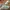 Louis Vuitton Trainer Greend Mesh White photo 1