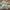 Louis Vuitton Trainer Greend Mesh White photo 3