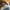 Louis Vuitton Trainer Greend Mesh White photo 5